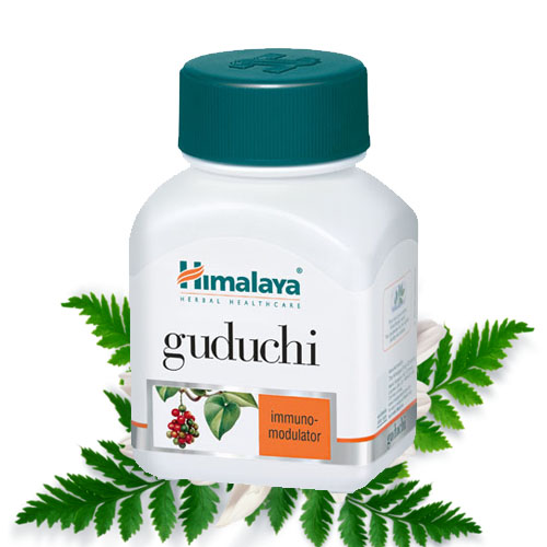 guduchi benefits herb